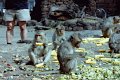Thailand 2001-EXa248